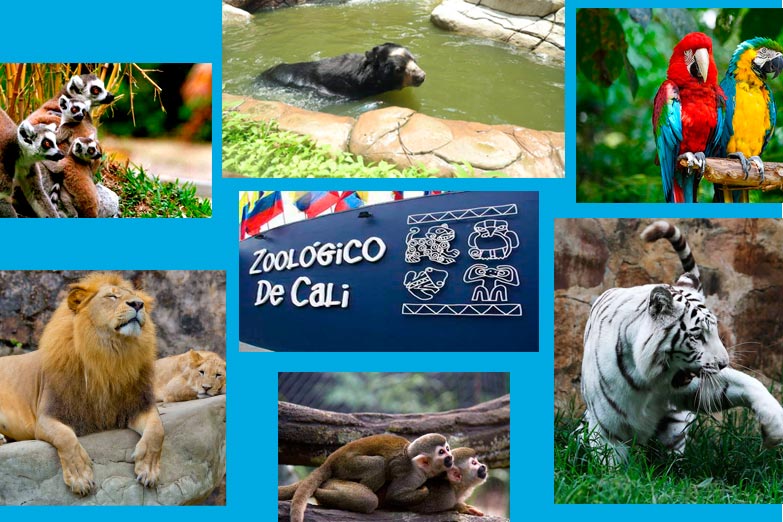 Zoológico de Cali
